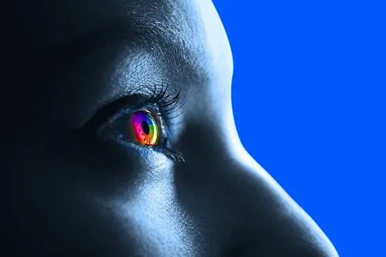 Corporate information