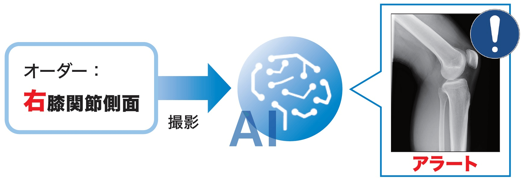 80/20クロス-フルカラーＣＧで学ぶＸ線撮影のポジショニ•ングと